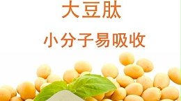 大豆肽酶解制备的优势