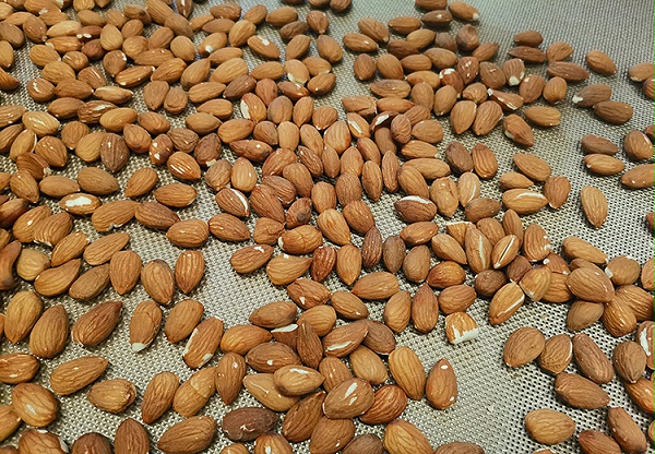 酶制剂处理杏仁坚果
