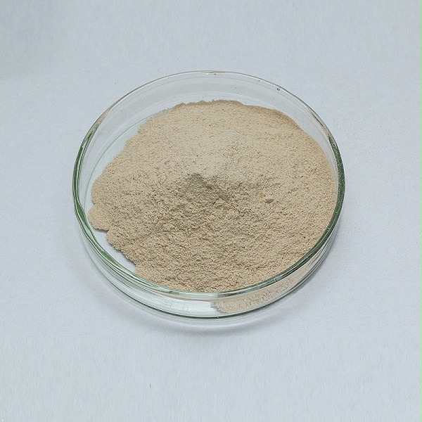 neutral protease6