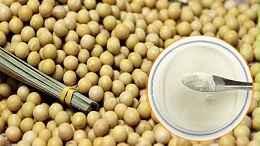 酶解法制备大豆蛋白肽具有什么优势？