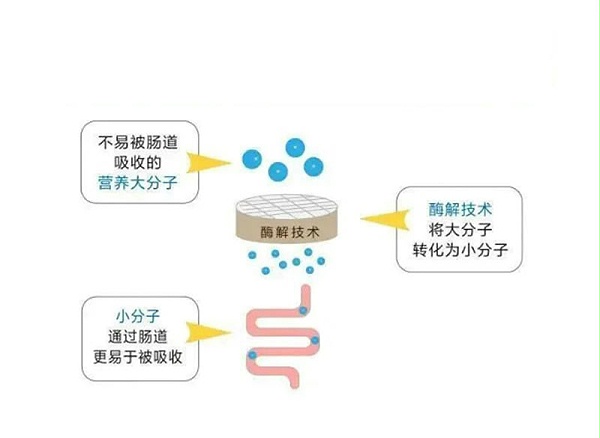 图片 7_r1_c1