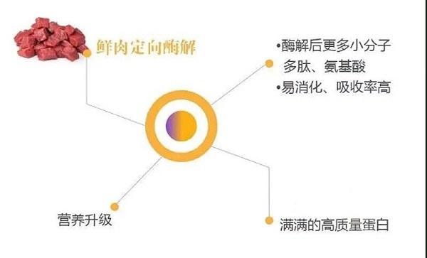 图片 6_r1_c1