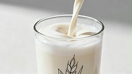 酶解燕麦，如何改善燕麦乳结团性？