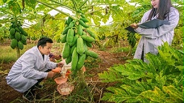 食品工业重要的加工助剂——蛋白酶