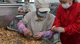 酶制剂解锁坚果酥脆度提升的关键密码
