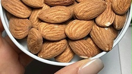 脂肪酶-解锁坚果品质与价值新高度